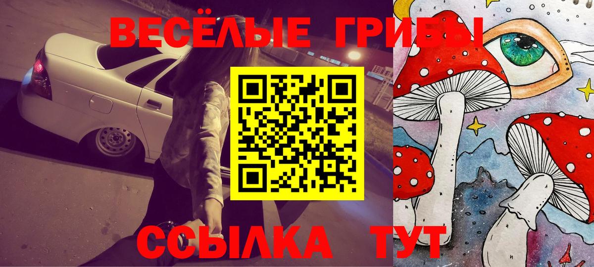Псилоцибиновые грибы Psilocybine cubensis Северодвинск