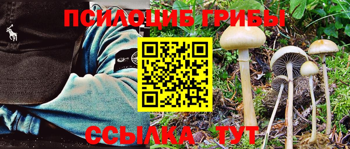 Северодвинск  Галлюциногенные грибы Magic Shrooms  Вход с VPN  Галлюциногенные грибы MAGIC MUSHROOMS 